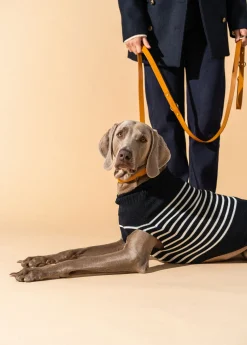 The Toutoupull SAINT JAMES